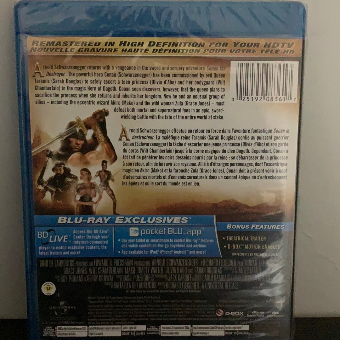 Conan the Destroyer (1984)
