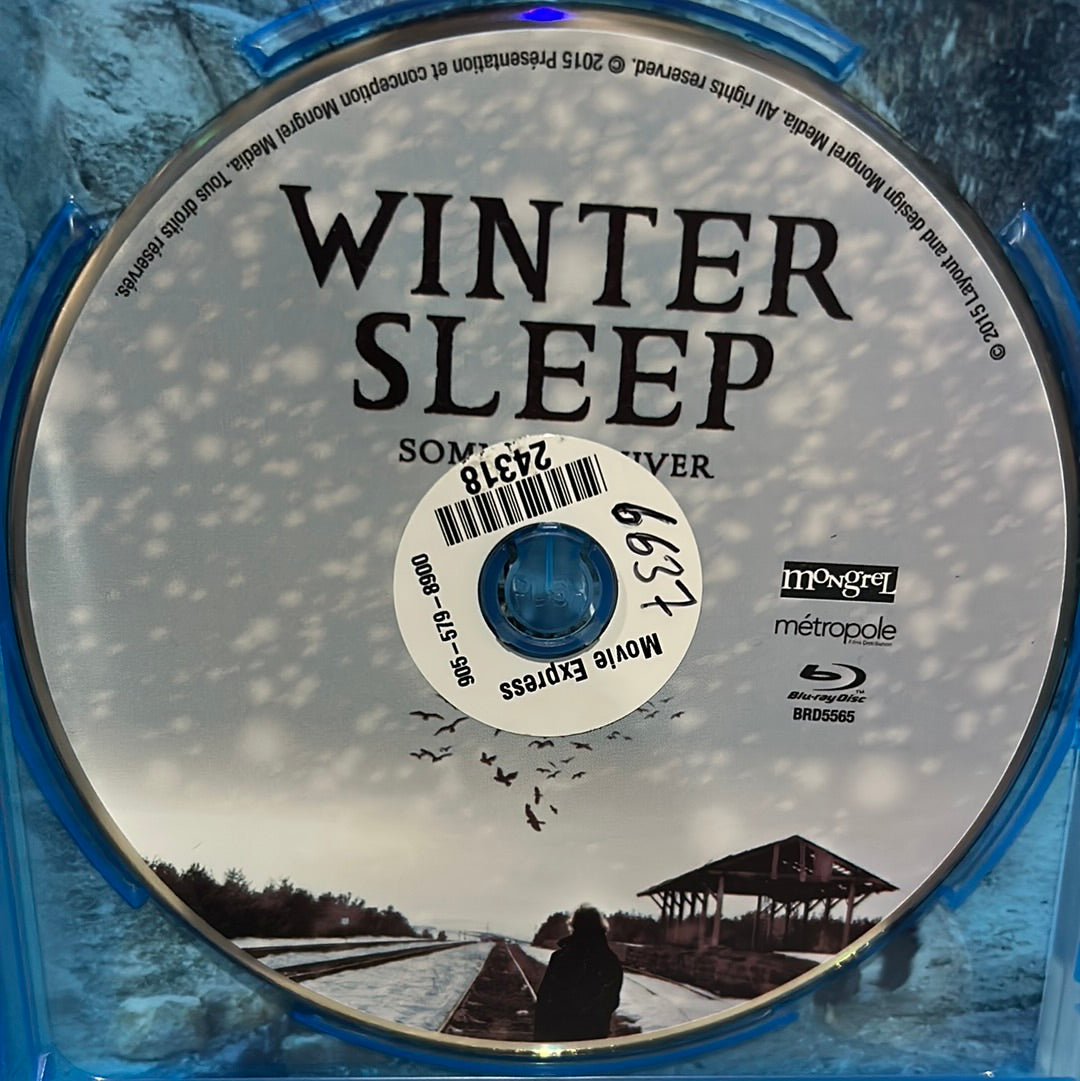 Winter Sleep (2014)