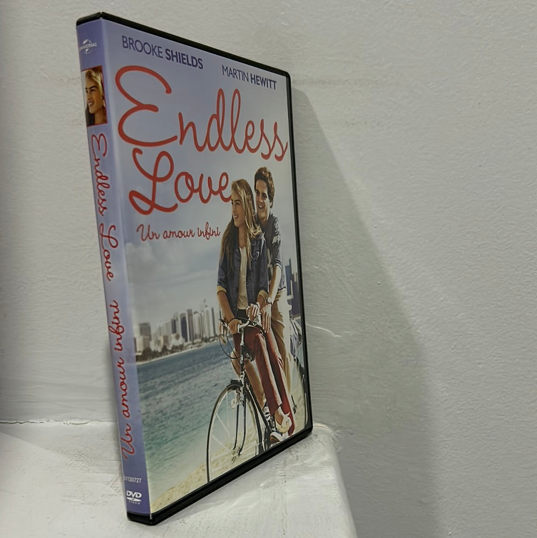 Endless Love (1981)