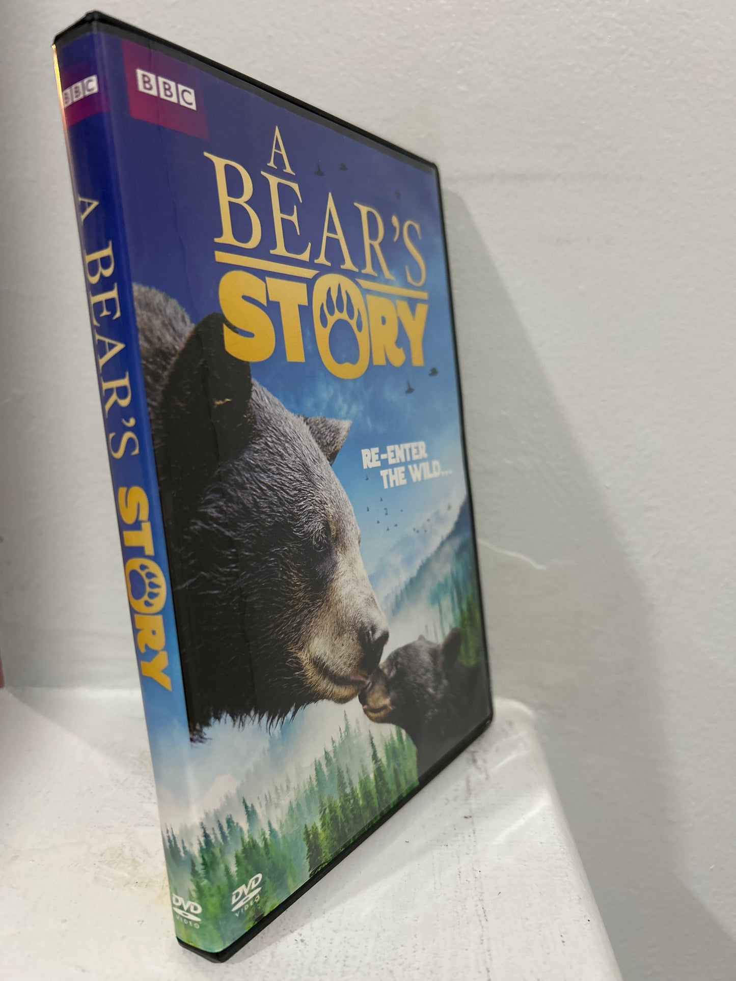 Bear's Story, A (2015)