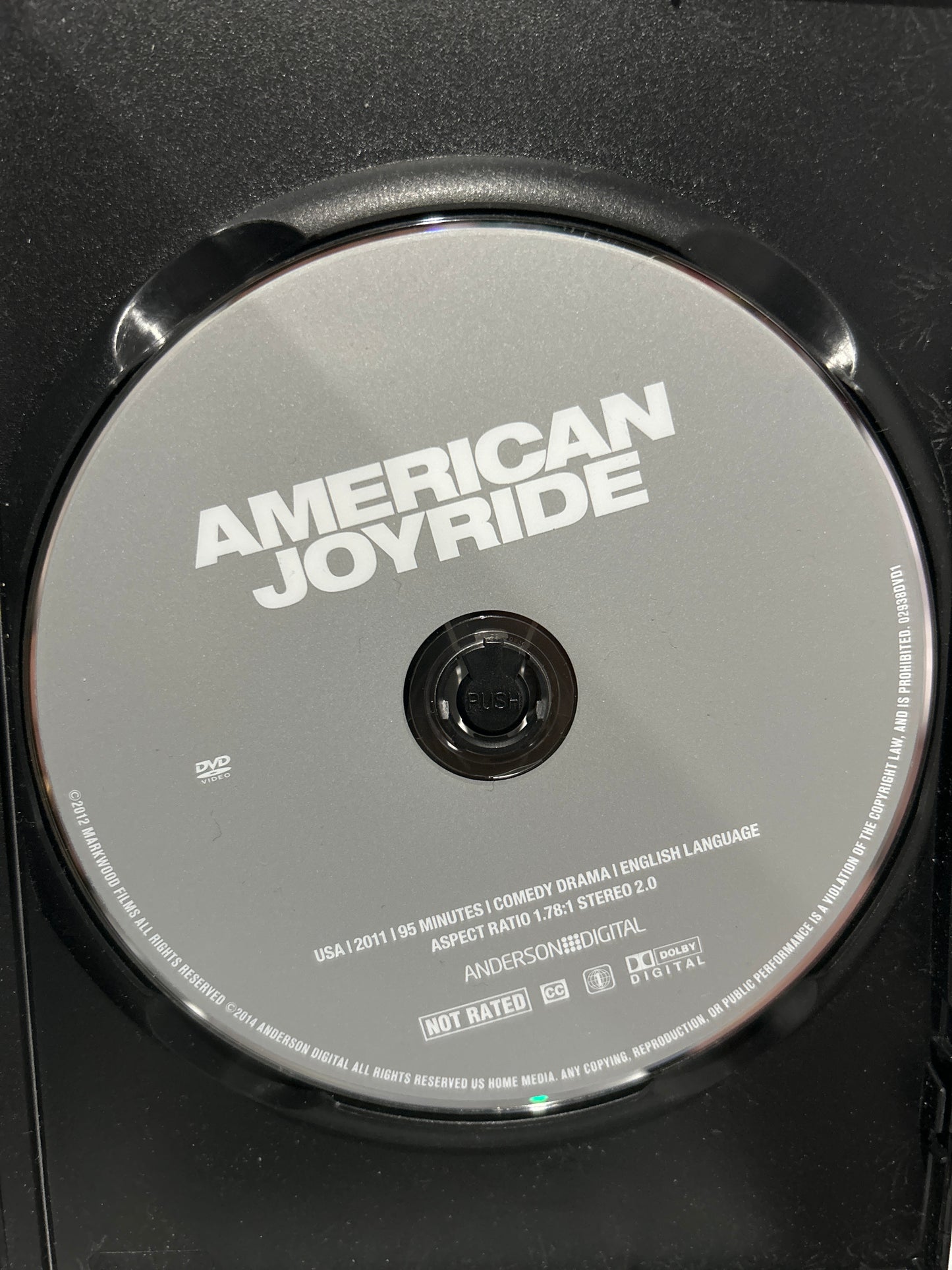 American Joyride (2011)