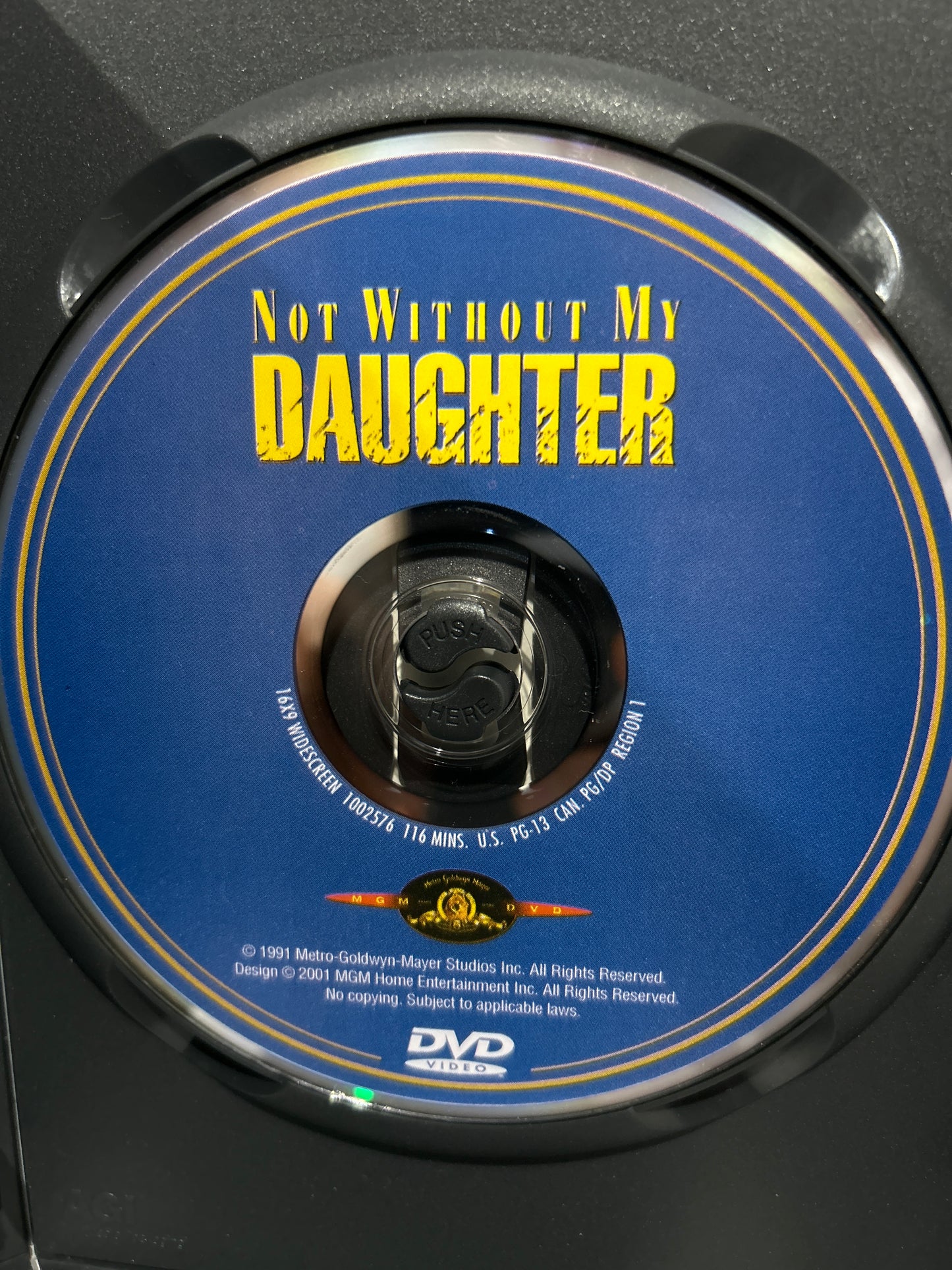 Not Without My Daughter (1991)