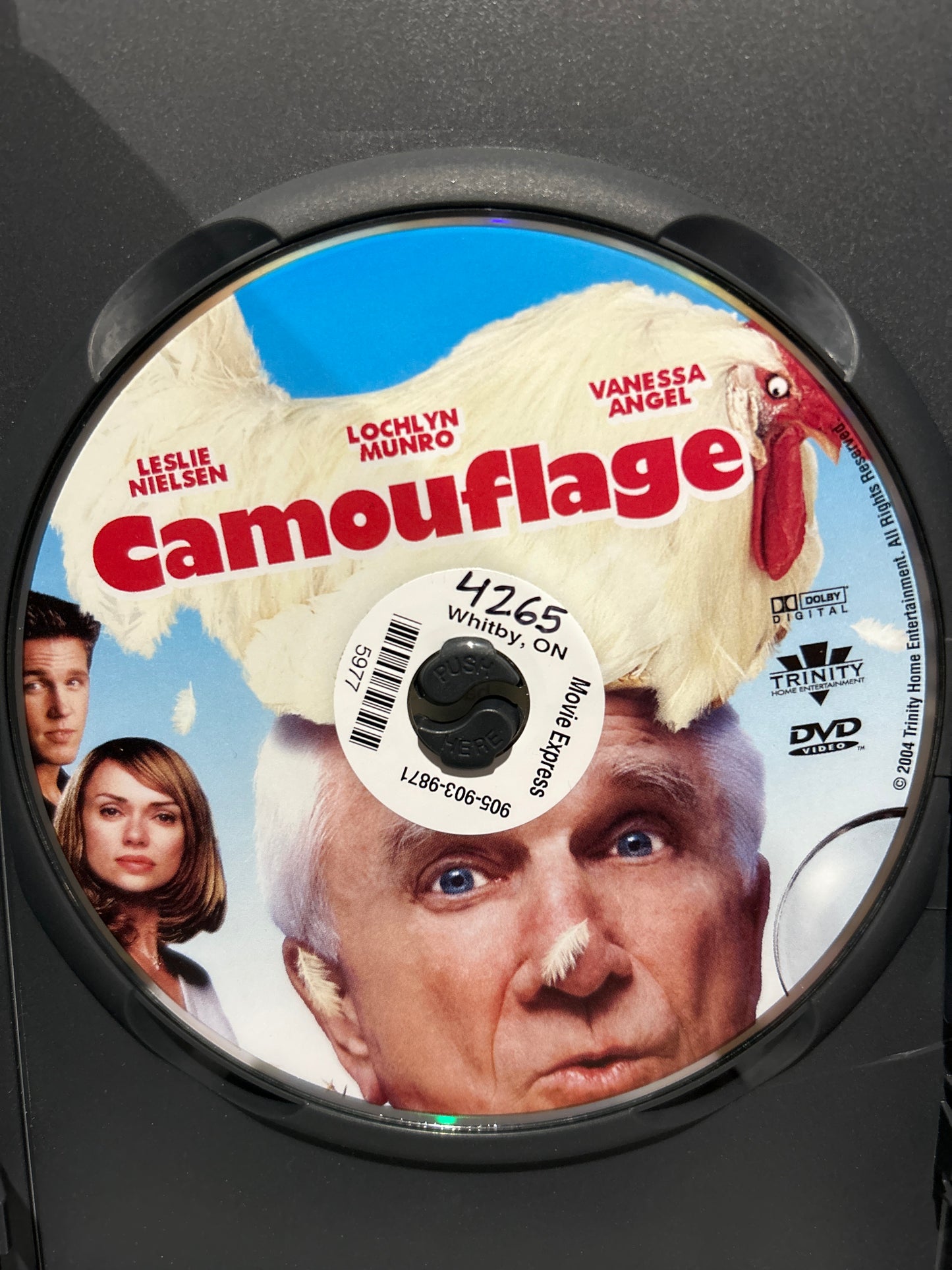 Camouflage (2001)