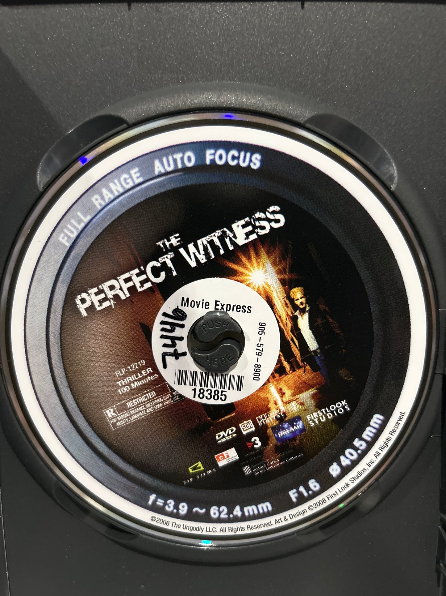 Perfect Witness, The (2007)