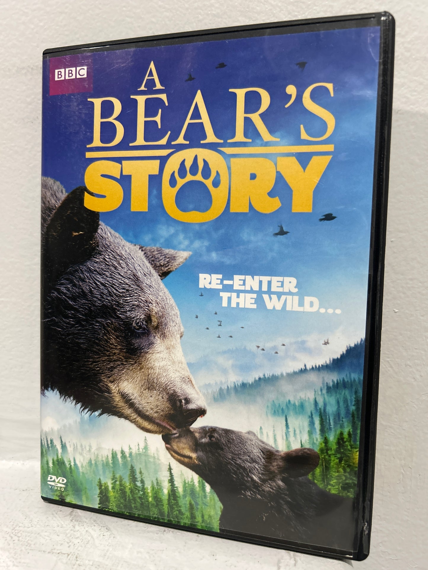 Bear's Story, A (2015)