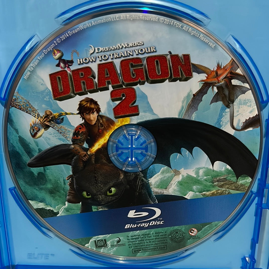 How to Train Your Dragon 2 (2014)