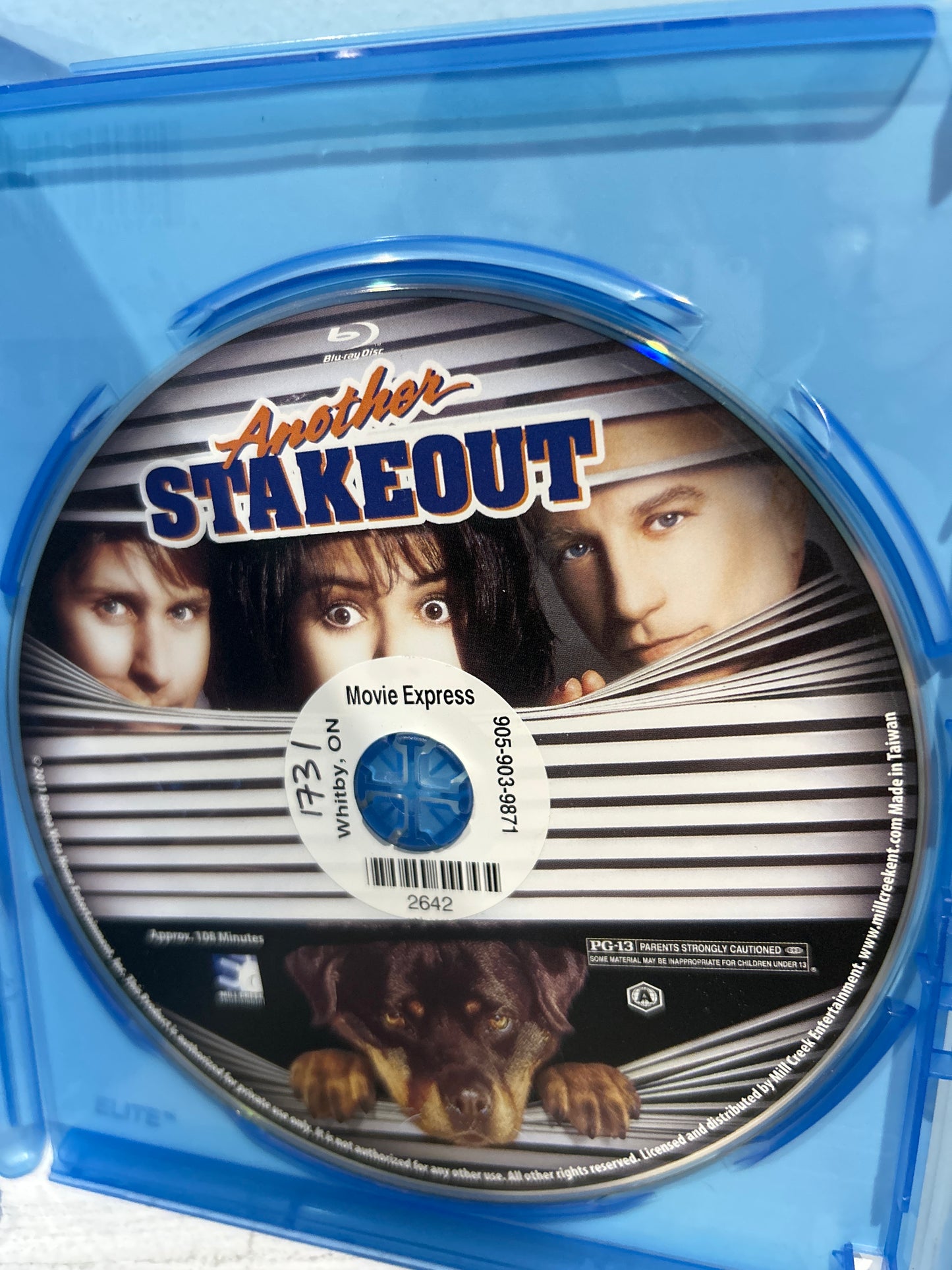 Another Stakeout (1993)