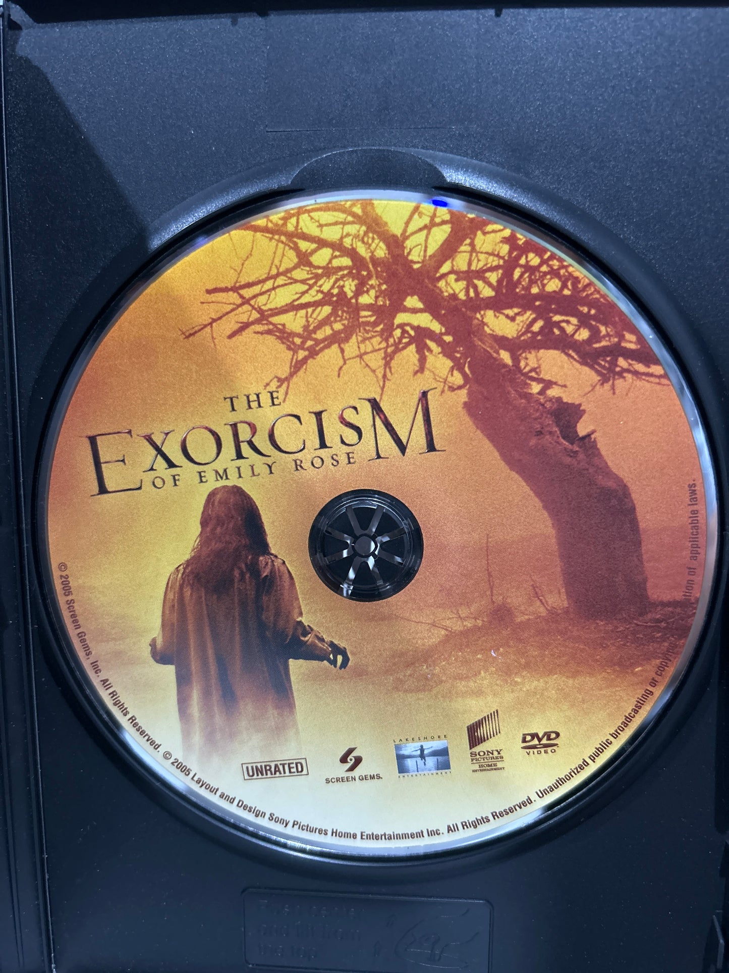 Exorcism of Emily Rose, The (2005)