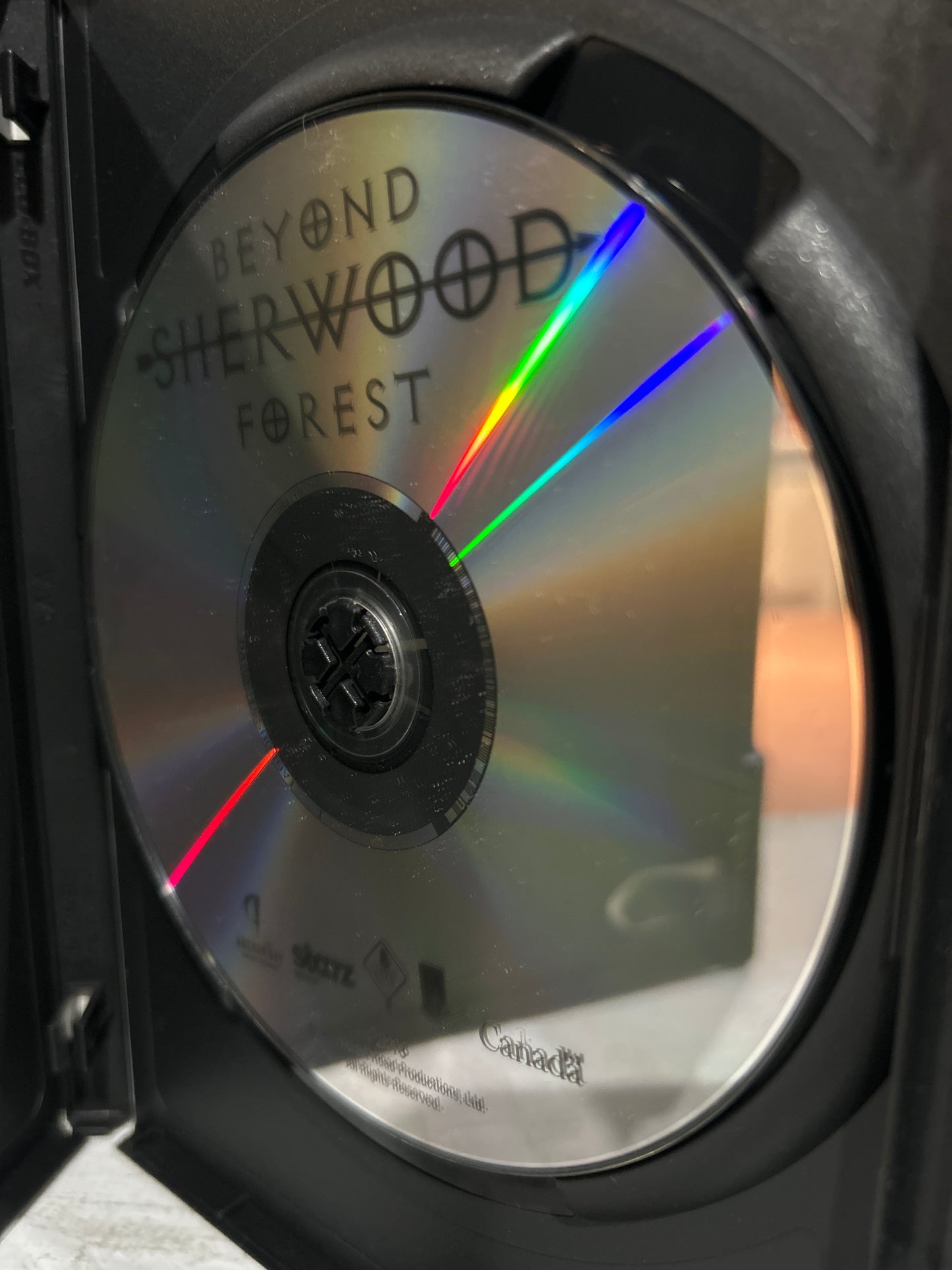 Beyond Sherwood Forest (2009)