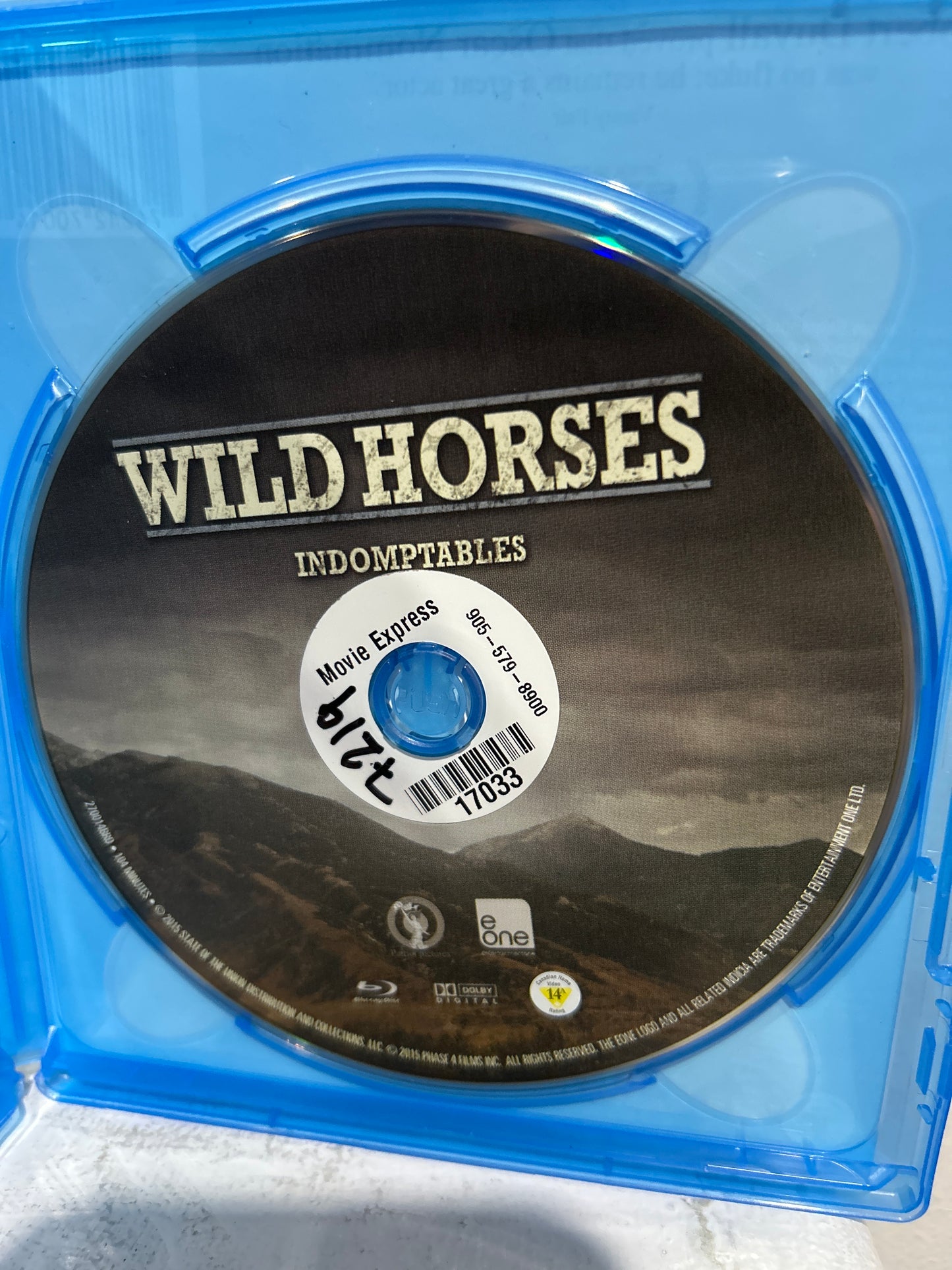 Wild Horses (2015)