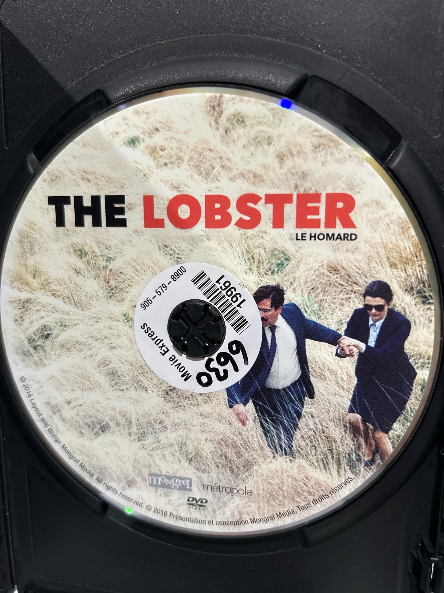 Lobster, The (2015)