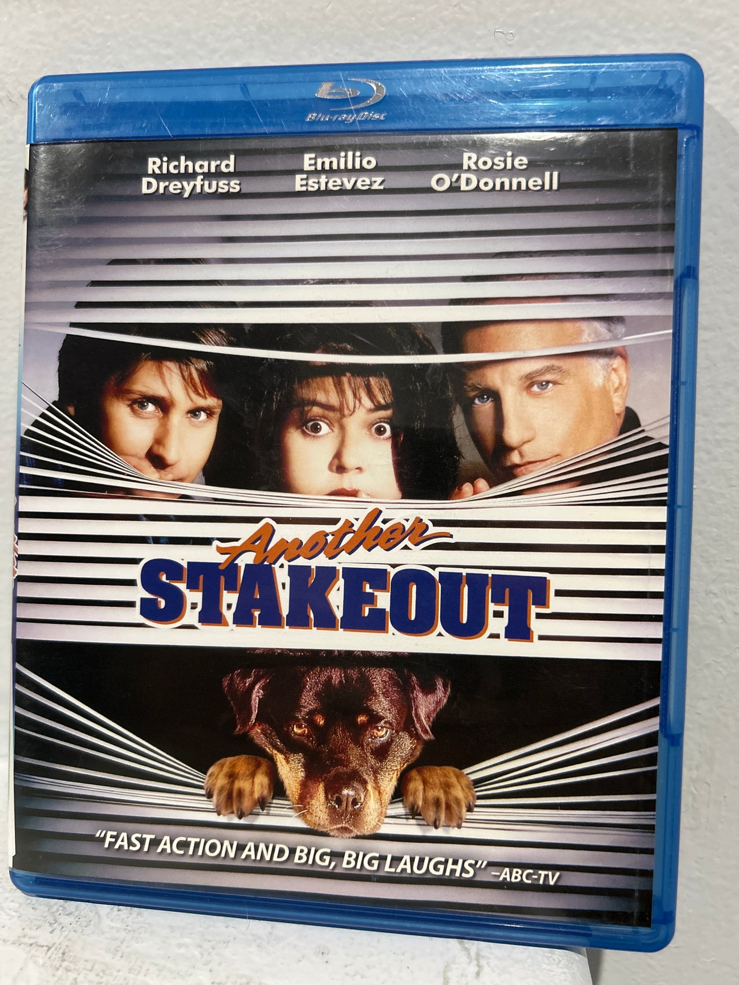 Another Stakeout (1993)