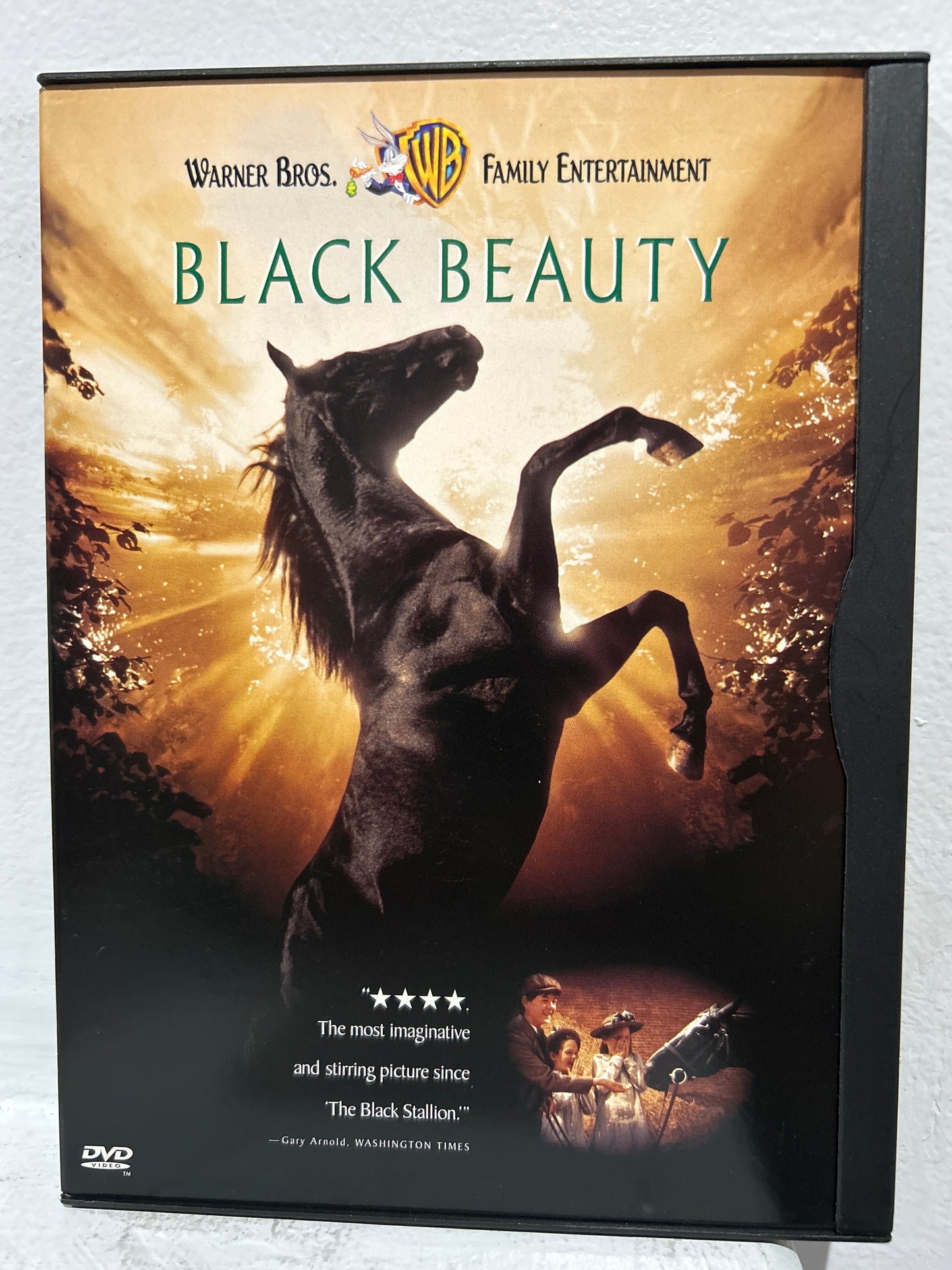 Black Beauty (1994)