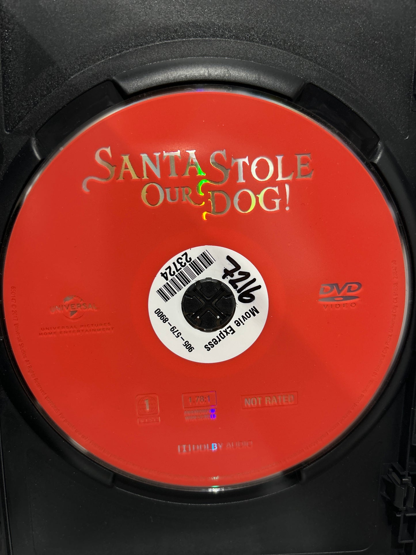 Santa Stole Our Dog: A Merry Doggone Christmas! (2017)