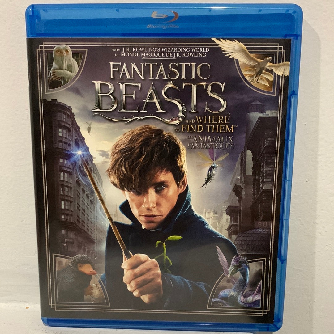 Fantastic Beasts and Where to Find Them (2016)