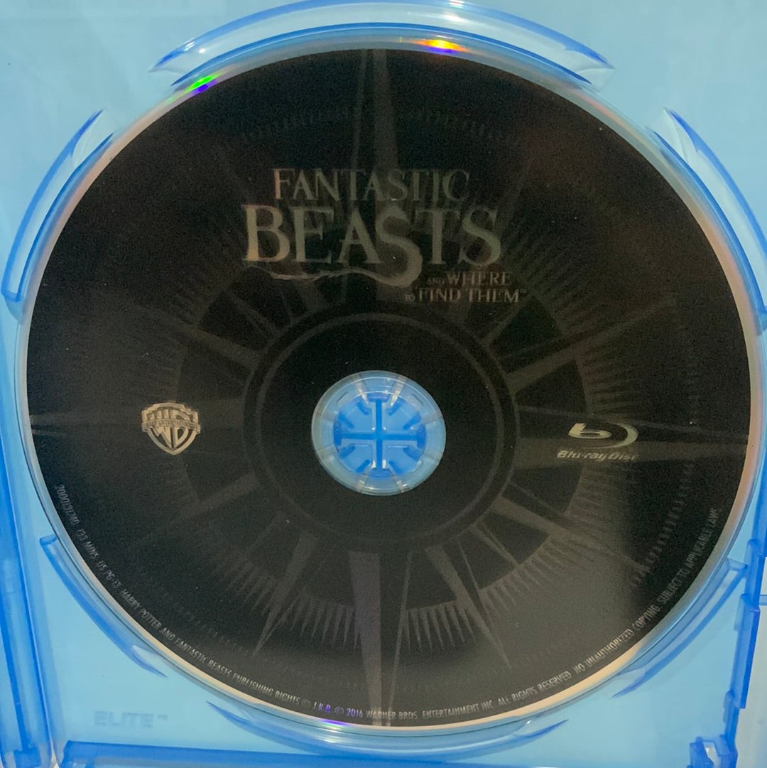 Fantastic Beasts and Where to Find Them (2016)