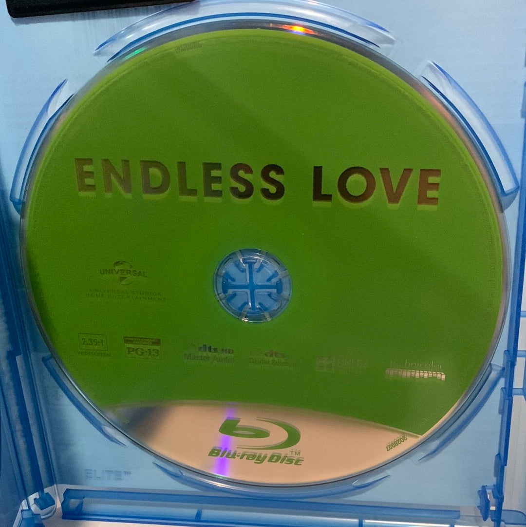 Endless Love (2014)