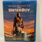 Waterboy, The (1998)