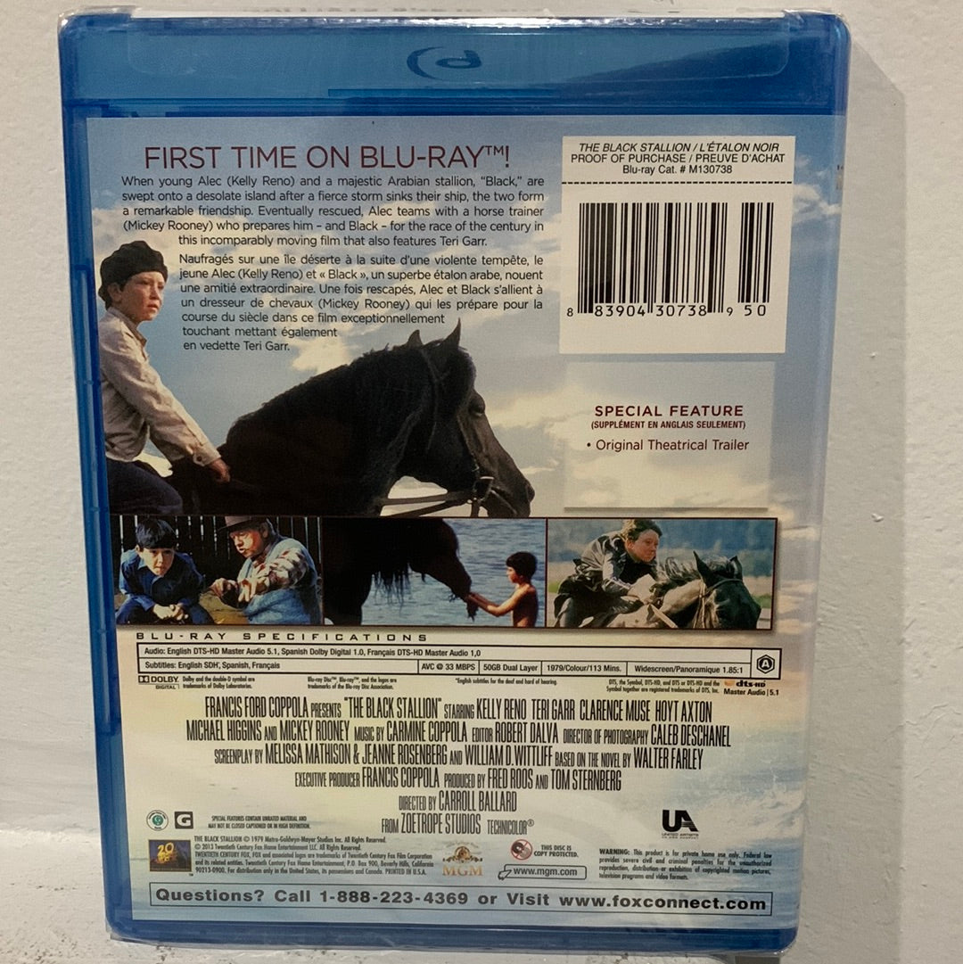 Black Stallion, The (1979)