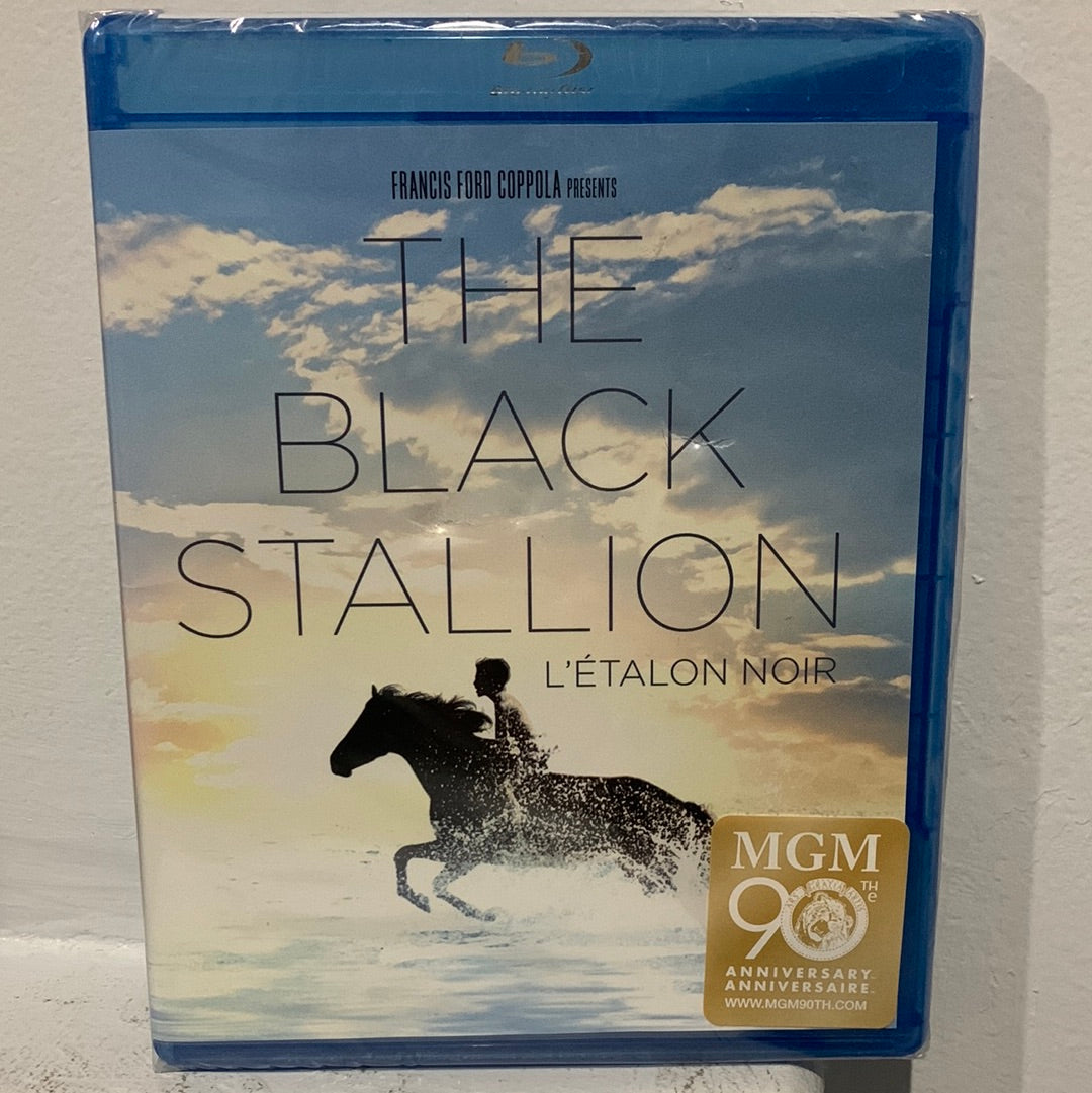 Black Stallion, The (1979)