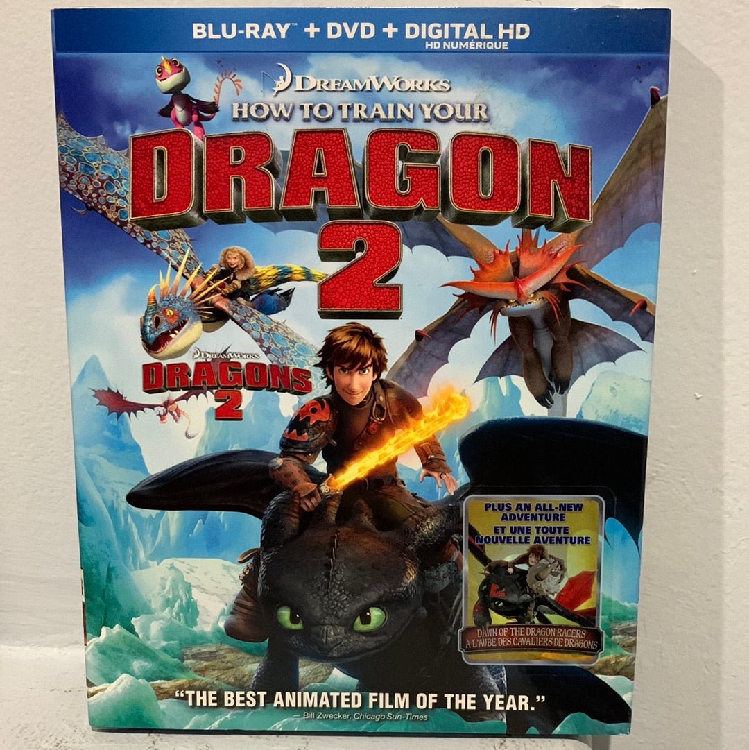 How to Train Your Dragon 2 (2014)