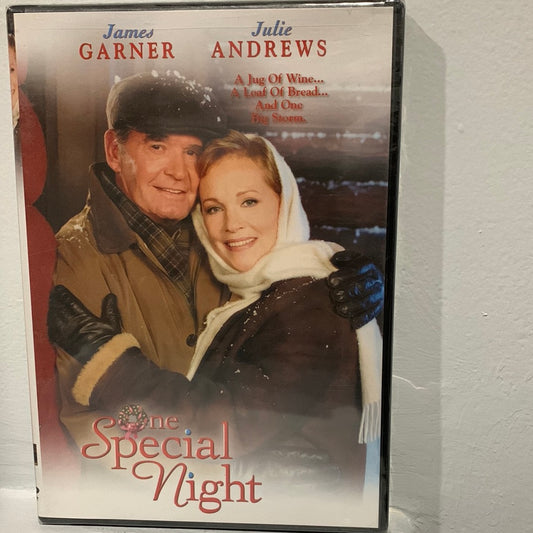 One Special Night (1999)