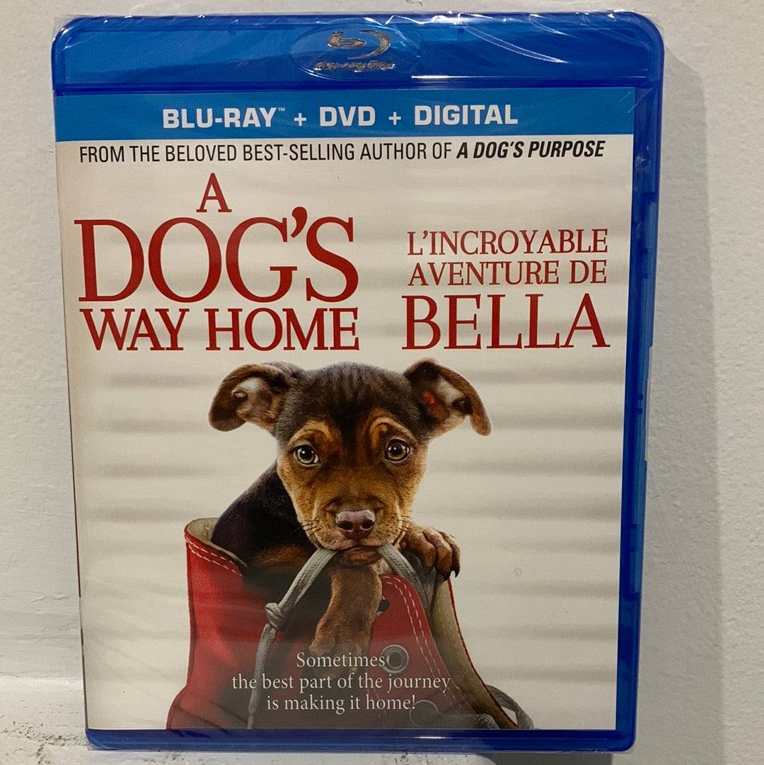 Dog's Way Home, A (2019)