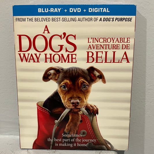 Dog's Way Home, A (2019)